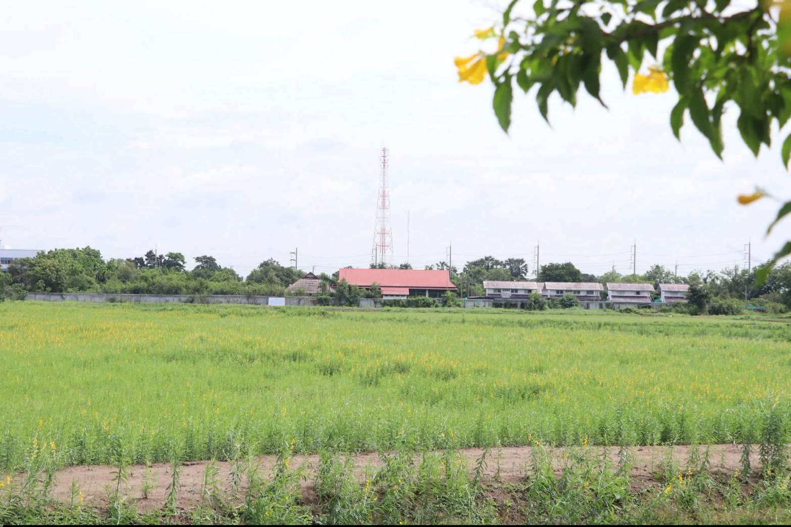 title - สำนักแผนงานและโครงการพิเศษ กระทรวงเกษตรและสหกรณ์ ประชุมหารือการจัดโครงการจิตอาสาพัฒนาด้านการเกษตร กระทรวงเกษตรและสหกรณ์ ณ ศูนย์ส่งเสริมและพัฒนาอาชีพเสริมนอกภาคการเกษตร